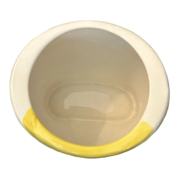 Pier 1 Imports Hand Painted Owl Cookie Jar 9.5” Stoneware Retired